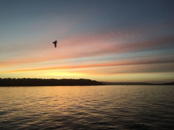 Scenic view of sea at sunset