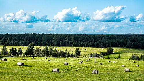 Hay bales on field against sky