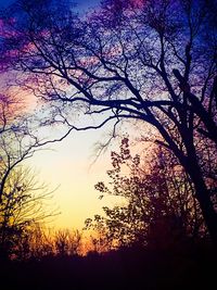 Low angle view of silhouette trees against sky