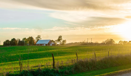 Scenic view of agricultural field against sky during sunset