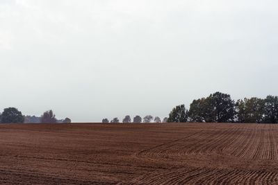 Scenic view of rural landscape