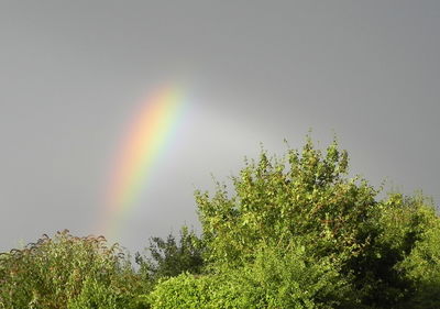 Low angle view of rainbow against sky