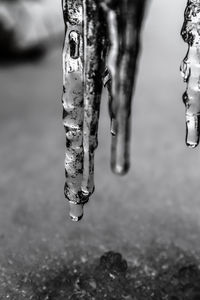 Close-up of water drops on ground