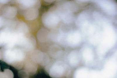 Defocused image of blurred background