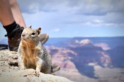 Midsection of man sitting on rock against sky