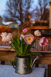 Close-up of flowers on table