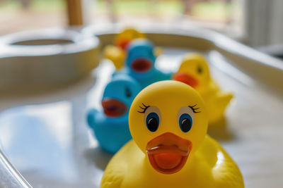 Close-up of rubber ducks on table