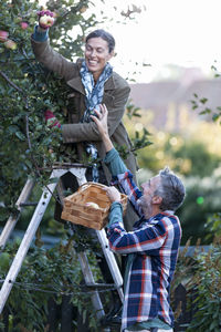 Mature couple picking apples, stockholm, sweden