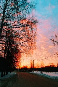 Silhouette trees against sky during sunset