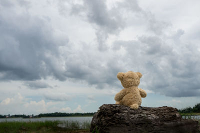 Teddy bear on driftwood at lakeshore against cloudy sky