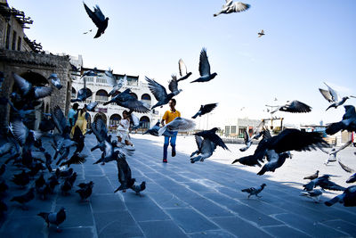 Group of people on birds against sky