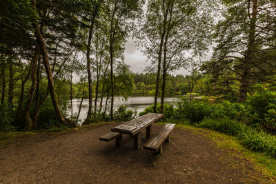 Empty bench in park