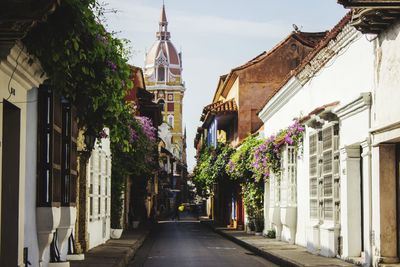 Street amidst plants