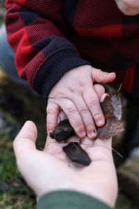 Close-up of boy holding mother hand