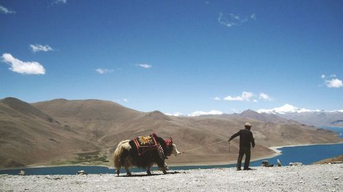 Side view of a man with animal against mountain range