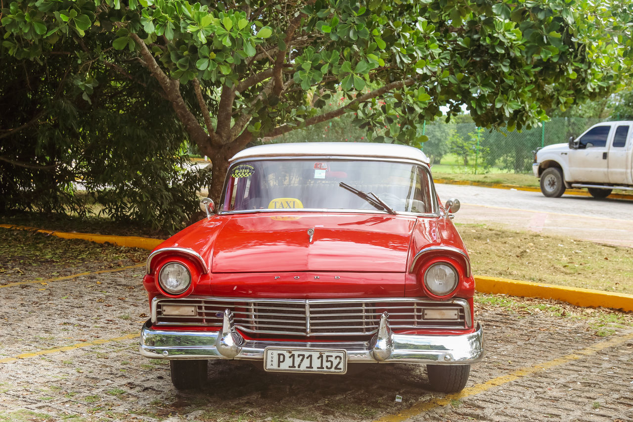 RED VINTAGE CAR ON ROAD BY TREES