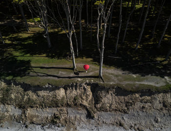 High angle view of golf course