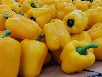 Close-up of yellow bell peppers for sale at market stall
