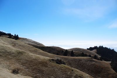 Scenic view of landscape against clear blue sky