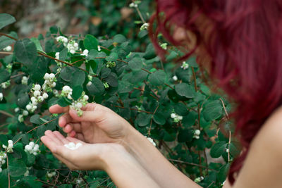 Cropped image of woman picking flower buds in park