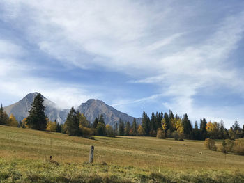 Scenic view of field against sky