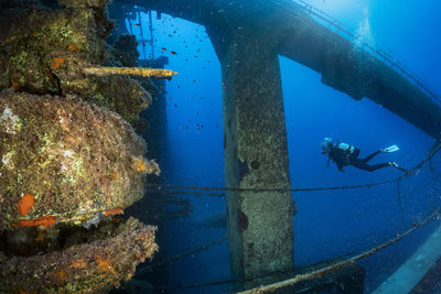 Diver diving under sea