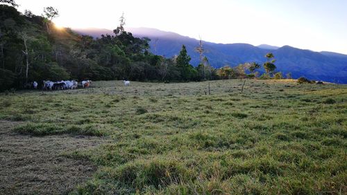 Scenic view of field and mountains against sky