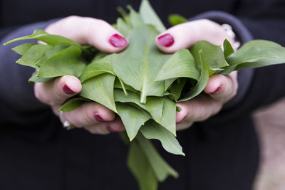 Close-up of hand holding heart shape leaf