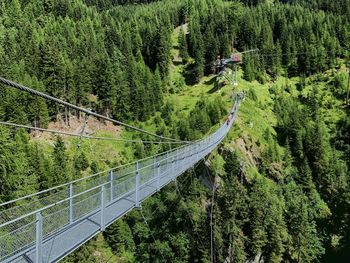 High angle view of footbridge amidst trees in forest