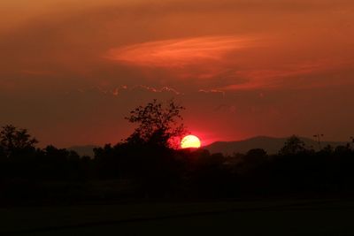 Silhouette trees on landscape against orange sky