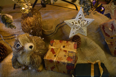 High angle view of animal on table at home