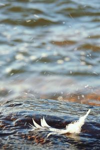 Close-up of sea against sky