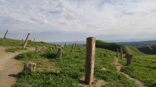 Scenic view of agricultural field against sky