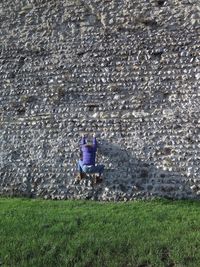 Rear view of a woman walking on field