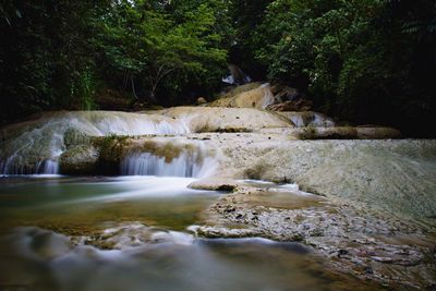 Scenic view of waterfall in forest