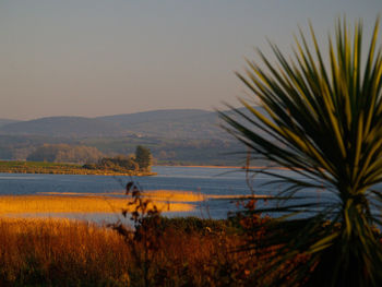 Scenic view of lake against sky during sunset