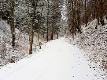 Road in forest during winter