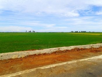 Scenic view of grassy field against cloudy sky