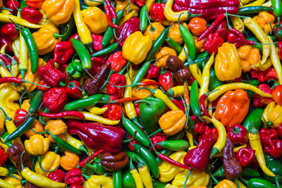 Full frame shot of chili peppers