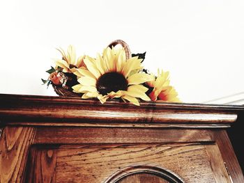 Low angle view of yellow flower against white background