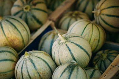 Close-up of melons for sale at market