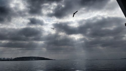 Seagull flying over sea against sky