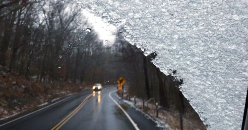 Road amidst trees during winter