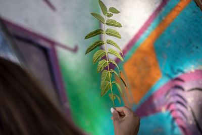 Cropped image of woman holding leaves against graffiti wall