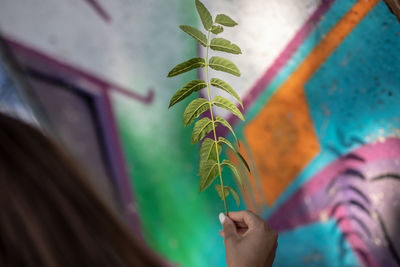 Close-up of hand holding colorful leaves