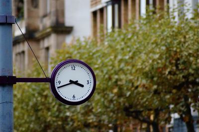 Close-up of clock on plant against building