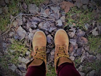 Low section of person wearing shoes standing on ground