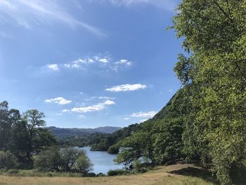 Scenic view of river amidst trees against sky