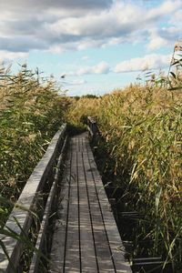 Surface level of boardwalk on field against sky