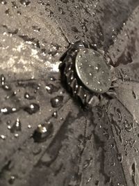 High angle view of raindrops on leaf